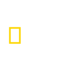 Lampe Flix - National Geographic